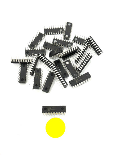 Microchip integrated circuit - microchip,